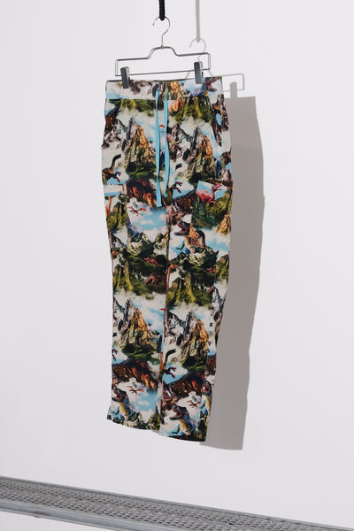 Prehistoric Landscape Graphic Pants