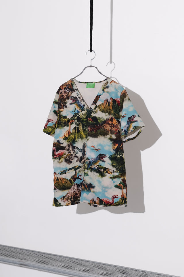 Prehistoric Landscape Graphic Top