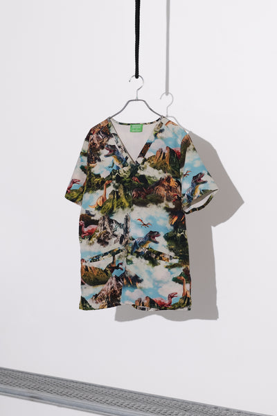 Prehistoric Landscape Graphic Top