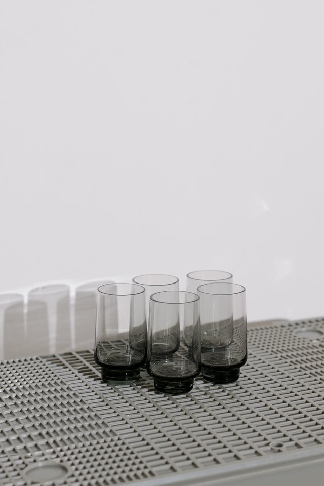 Smoked Glass Tasting Glass (set of 5)