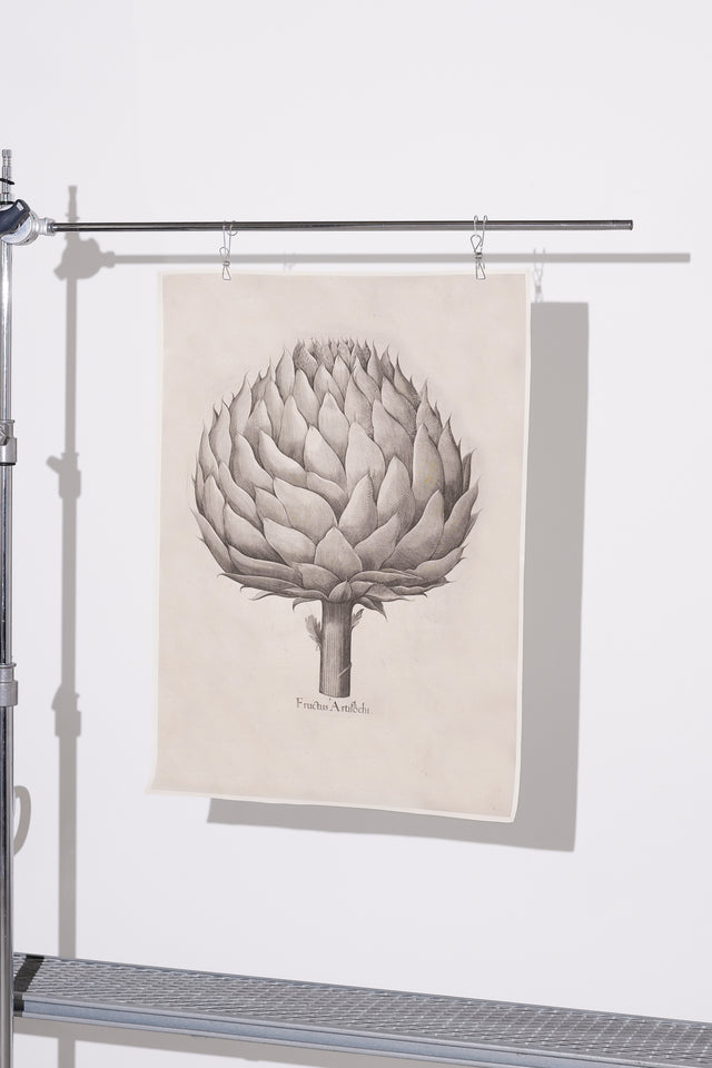 Artichoke Fabric Poster