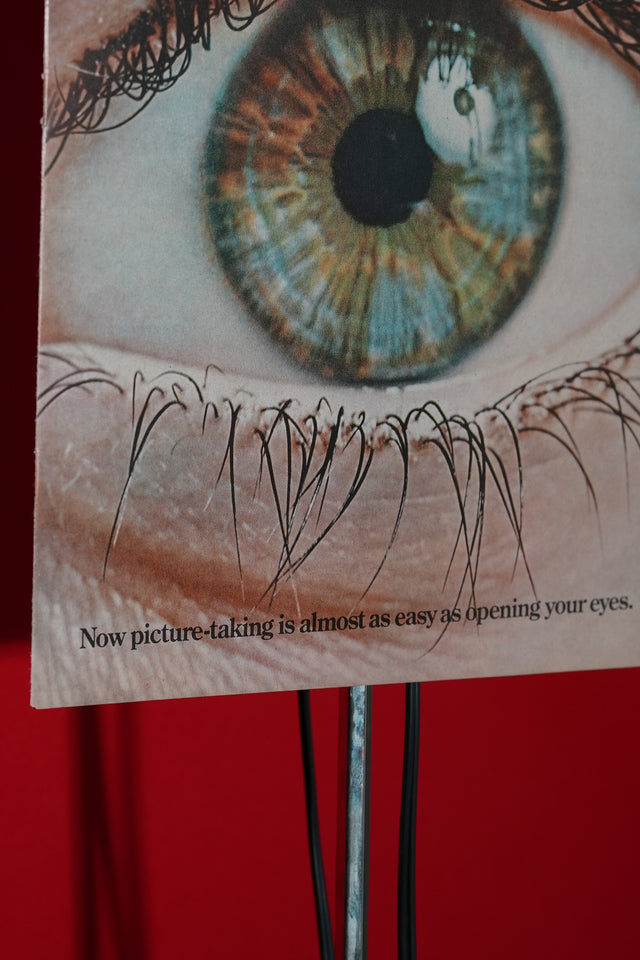 Polaroid - Vintage Magazine AD (1969)